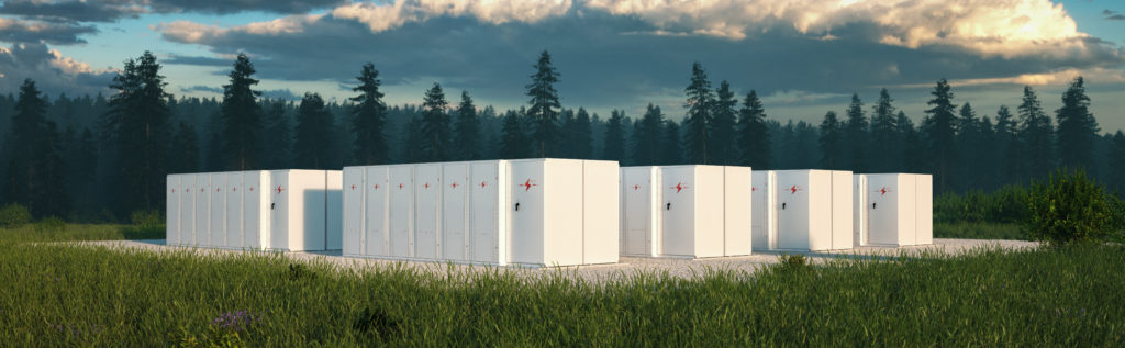 Energy storage systems in nature